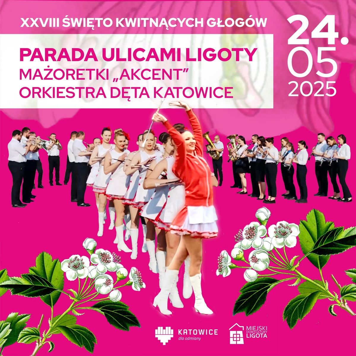 🌸 Święto Kwitnących Głogów 2025 – Ligota i Panewniki w pełnym rozkwicie