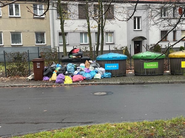 Przepełnione śmietniki w Ligocie: problem, który trwa od lat. Czy tylko u nas?