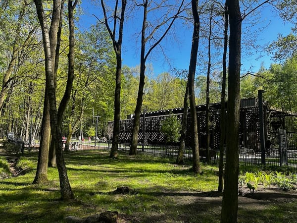 Z tężni solankowej na Zadolu zniknął plac zabaw. "Elementy były uszkodzone".