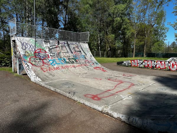Skatepark w Parku Zadole – inwestycja za plecami mieszkańców Ligoty
